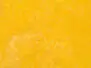 ICELANDIC SHEEP PLUS DUBBING made in italy hotfly - 1 g -...