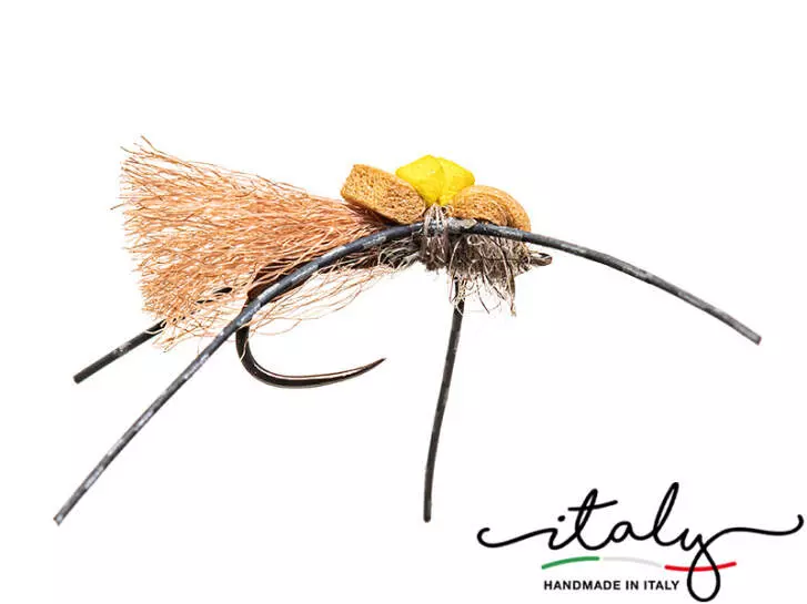 Cavalletta Pattinatrice V4 12