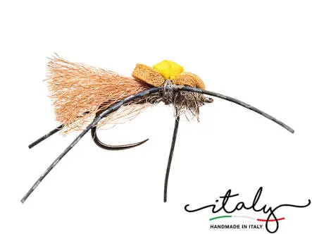 Cavalletta Pattinatrice V4 12