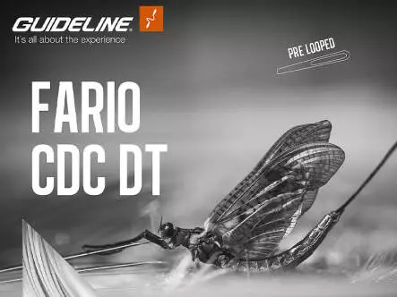 Coda di topo galleggiante guideline FARIO CDC - DT - #5