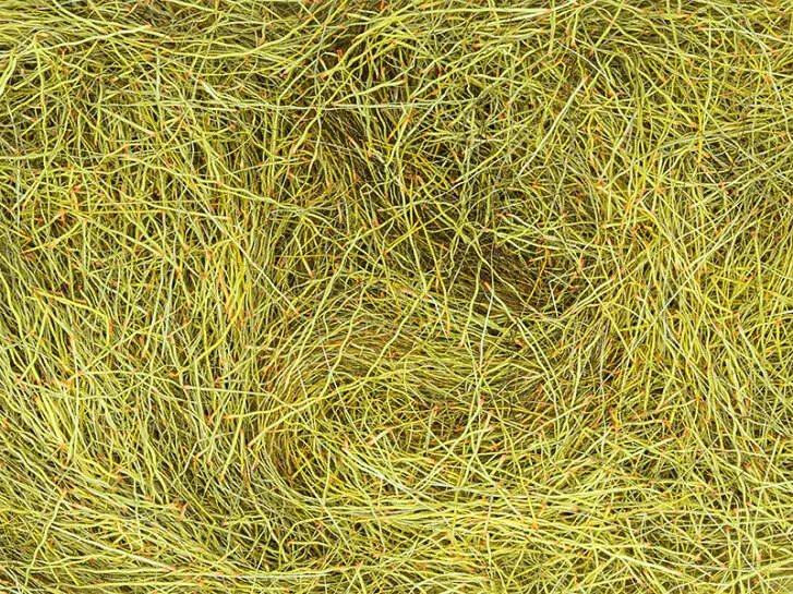 ELK HAIR DUBBING DYED made in italy hotfly - 1 g - mustard