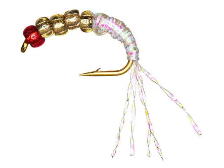 Amettiera Sarda Agone SUPERBEAD 2