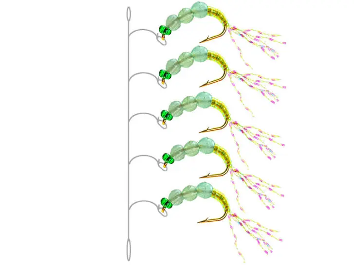 Alosa Agone Hegene SUPERBEAD 4