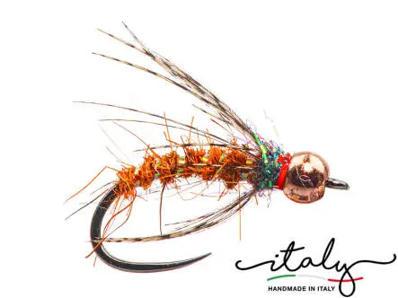 Rusty Spider Pupae
