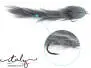 Snakefly Sayot TG Grey