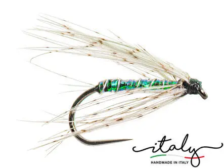 Shiny Partridge Grayling Predator