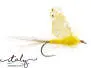 Morgans Winged Yellow CDC Mayfly  10
