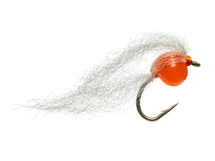 NOCE MOSCATA | CBS Carpfishing Boiles Selfmade