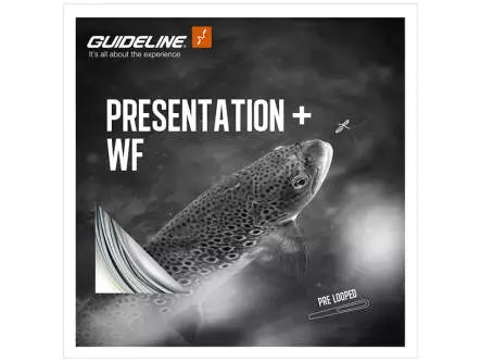 Coda di topo galleggiante guideline PRESENTATION+ - WF