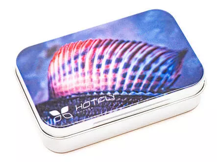 Fliegendose hotfly ALU ECO GRAYLING nymph x-small