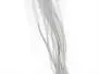 GENETIC HACKLES 100 PACK whiting farms - # 18 - light dun