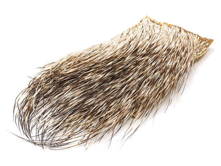 PECCARY PATCH hotfly