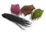 PECCARY PATCH hotfly
