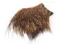 PECCARY PATCH hotfly