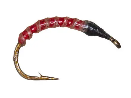 Amettiera Coregone - Fluorocar. 0,18 mm - RED + NATURFIL