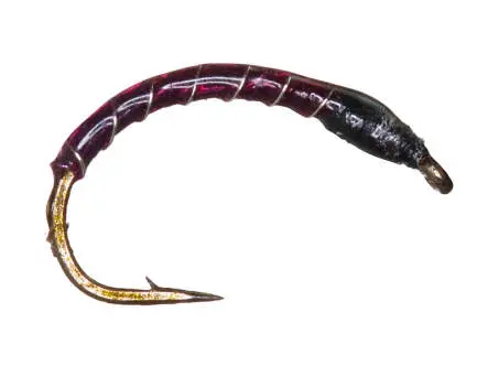 Amettiera Coregone - Fluorocar. 0,18 mm - EVO BLACK PURPLE + SILVER RIB 14