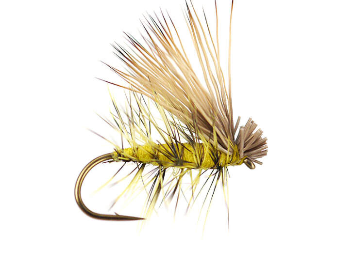 KIT DI MOSCHE Per Pesca A Mosca Da 50 Esche Artificiali Da Esterno Per