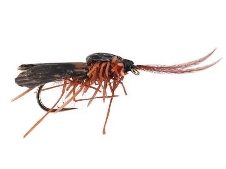 Realistic Brown Caddis 14