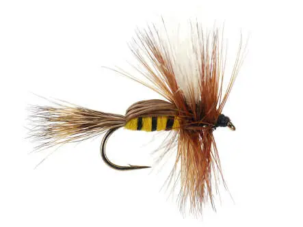 Bee Humpy 12