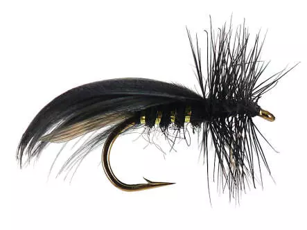Europa Black 12
