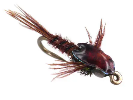 Trinas Nymph Back Pheasant Tail 12