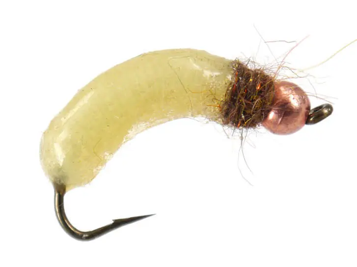Silvermans Crane Fly Larva - Cream 8