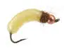 Silvermans Crane Fly Larva - Cream 8