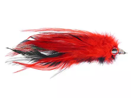 Carzy Red Devil 5/0