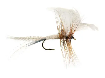 Cream Mayfly Dun 10