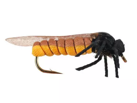 Stone Fly 10