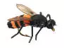 X-true Honey Bee Orange 12