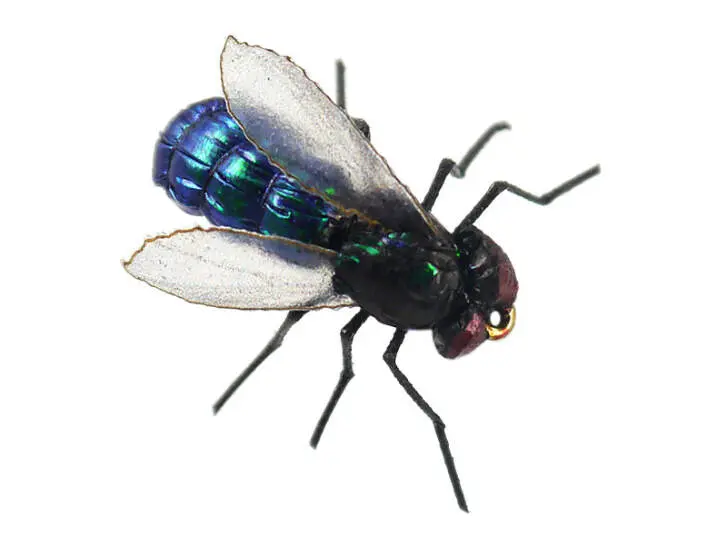 X-true Blue Fly 12