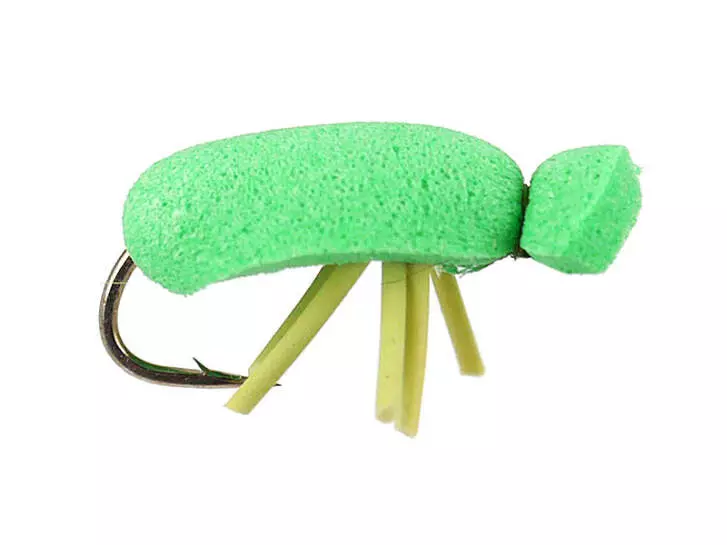 Green Beetle 12