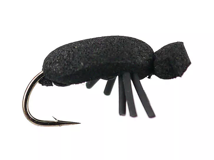 Black Beetle 12