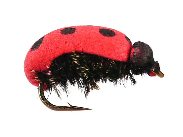 Lady Bug 14