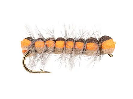 Brown Caterpillar 10