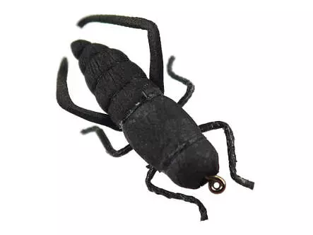 Cricket 8