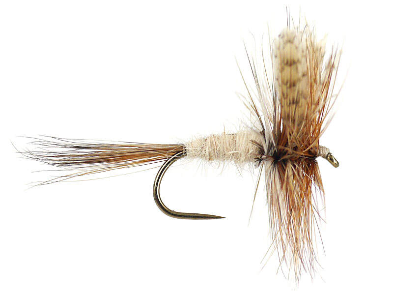 March Brown BL