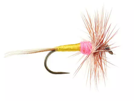 Tups Indispensable BL