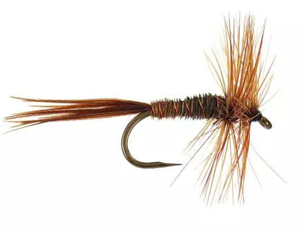 Pheasant Tail BL