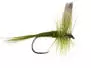 Olive Dun BL