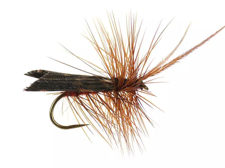 Brown Horned Roof Wing BL