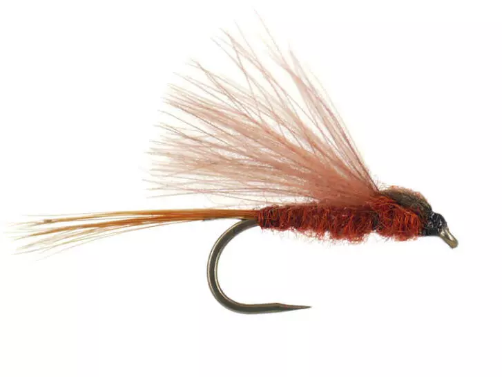 CDC Brown BL