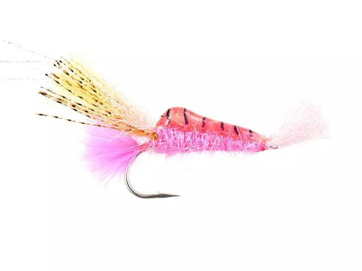 Standing Shrimp Pink