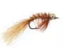 Spawning Shrimp Tan