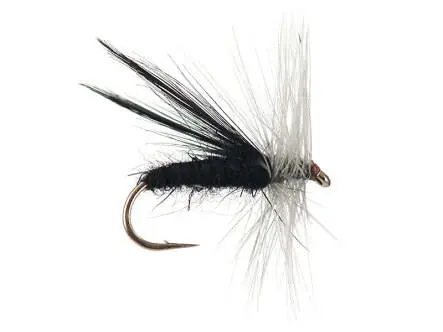 Fluttering Caddes Black