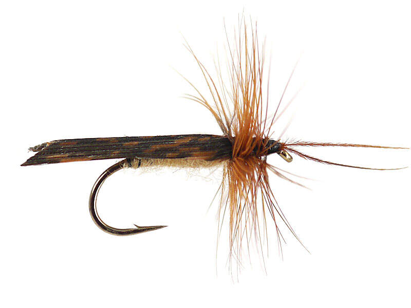 Mosche Seche D-7 EC Caddis Per Pesca A Mosca - 1 Dozzina - Colori E Misure A Scelta