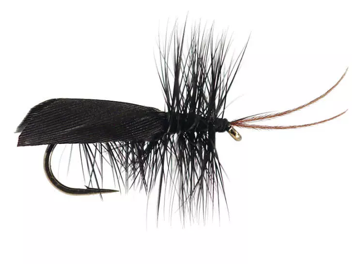 Black Horned Roofing