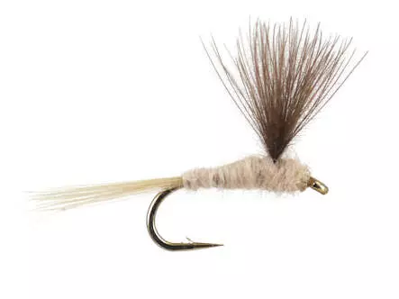 CDC Natural