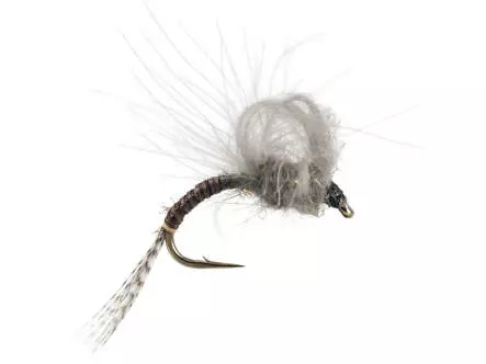 CDC Loopwing Emerger Grey